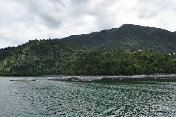 Criação de salmões no Fiordo Largo, na Carretera Austral, sul do Chile